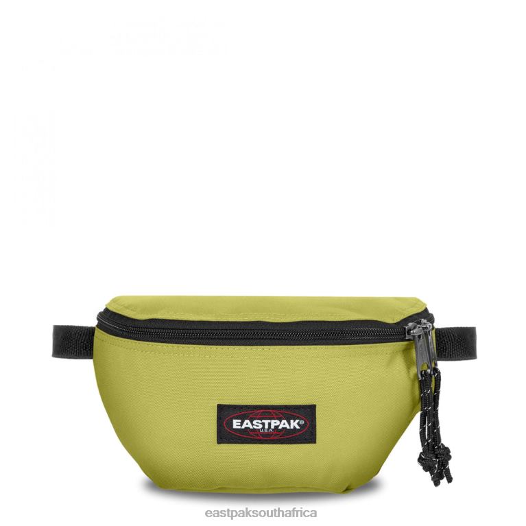 springer_linked_lime_eastpak_4n244325bags.jpg Springer Linked Lime Eastpak 4N244325Bags - Image 1