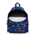Padded Pak'r Ng Fish Eastpak 4N2448Backpacks - Image 4